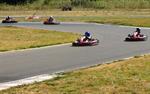 carting6